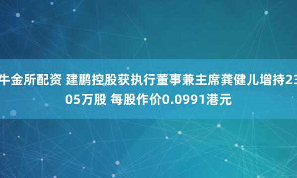 牛金所配资 建鹏控股获执行董事兼主席龚健儿增持2305万股 每股作价0.0991港元